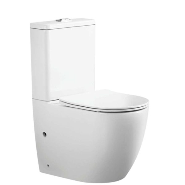 Toilet23